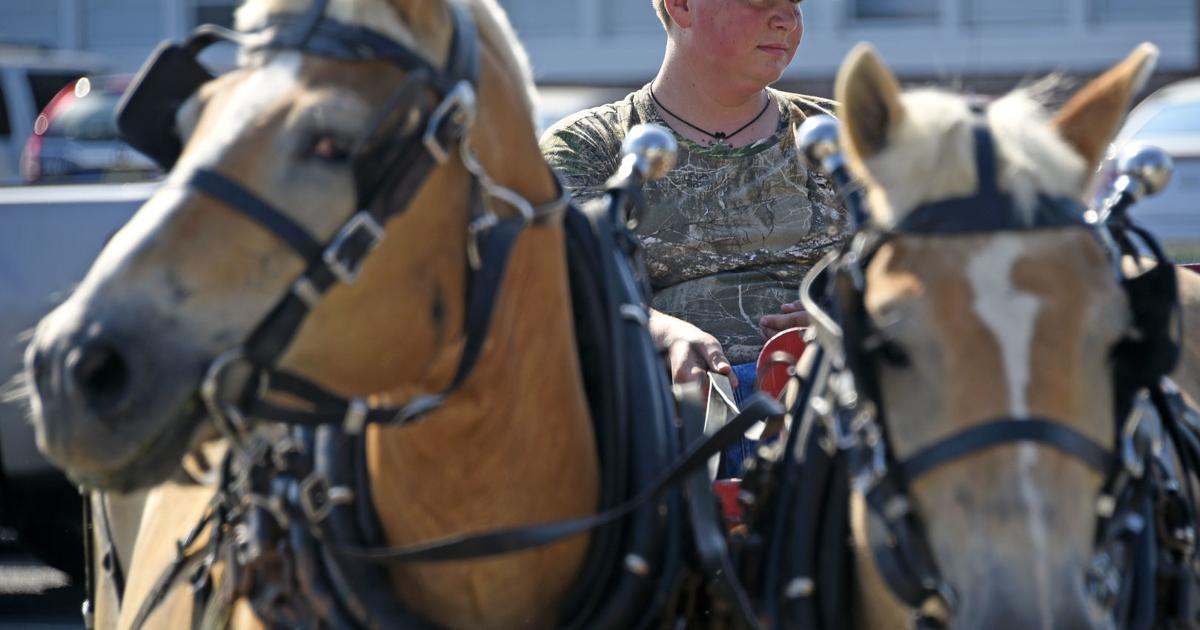 Supercuts veterans day free haircut Supercuts veterans day free haircut