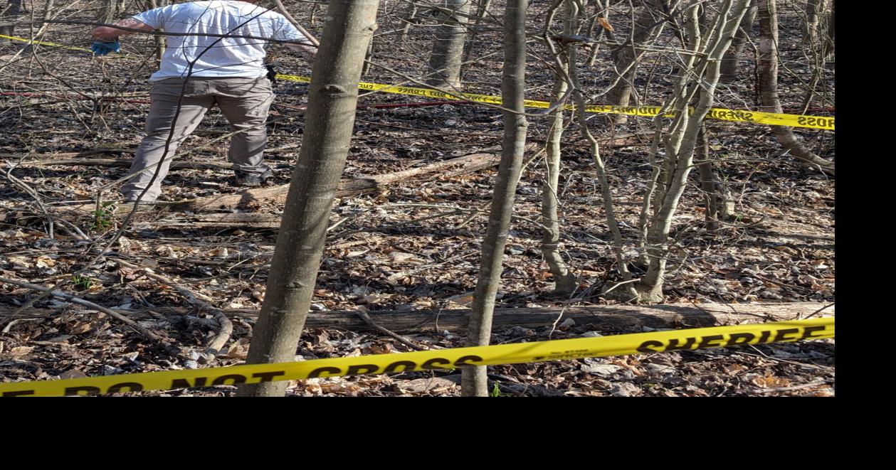 Human remains found in wooded area of northern Lauderdale Co. | Local ...