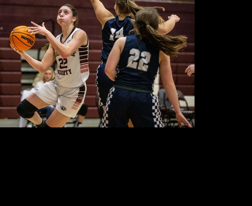 TimesDaily.com - Tuesday prep basketball roundup: Lauderdale County girls take down Rogers image