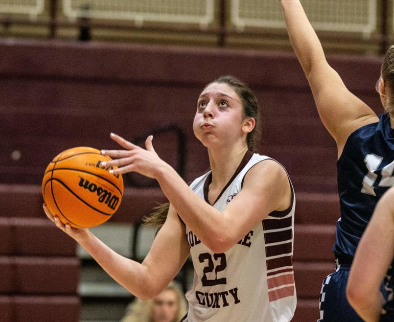 TimesDaily.com - Tuesday prep basketball roundup: Lauderdale County girls take down Rogers image