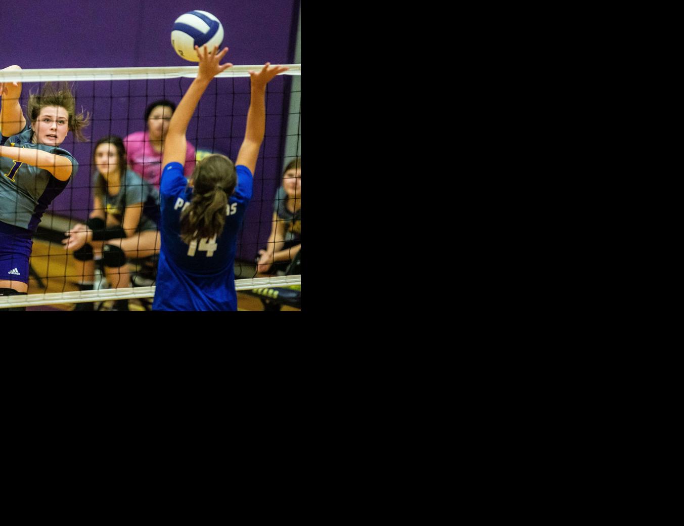TimesDaily.com - PREP ROUNDUP: Lexington volleyball rolls to area championship image