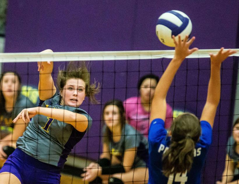 TimesDaily.com - PREP ROUNDUP: Lexington volleyball rolls to area championship image