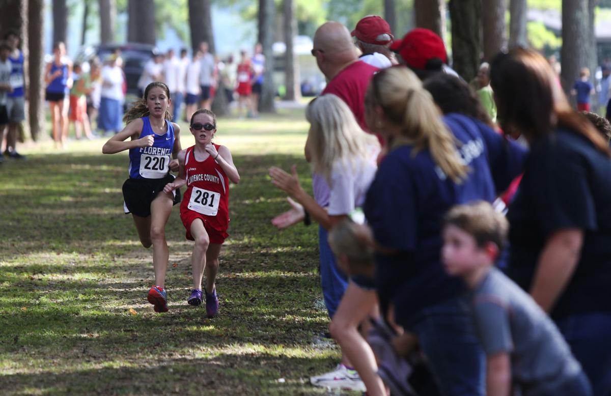 Cross Country Meet at McFarland Gallery