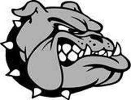 TimesDaily.com - Hamilton girls take rare peek into state rankings image