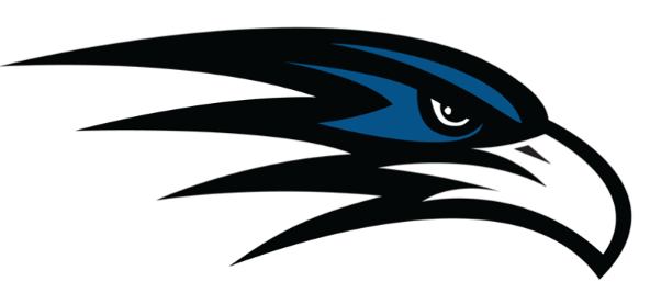 TimesDaily.com - Robinson's late 3 lifts Florence boys past Bob Jones image