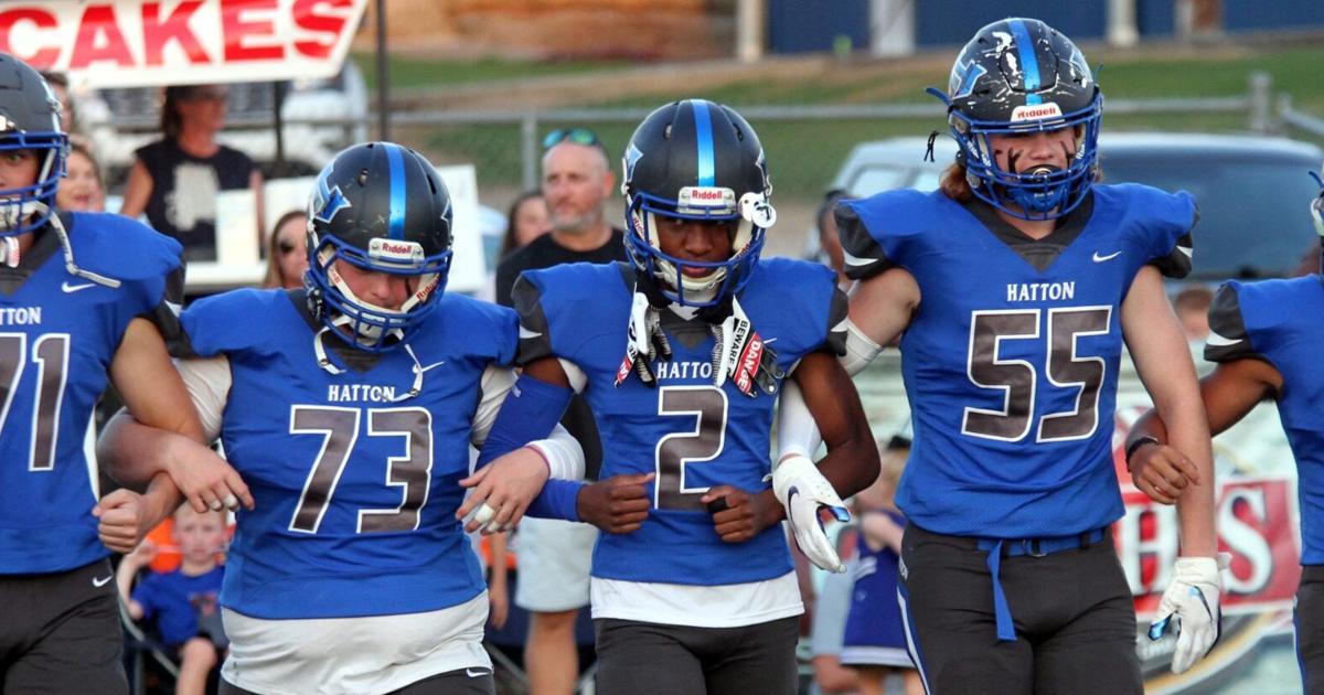 TimesDaily.com - Brothers in blue: Former Chiefs transitioning to life with Hornets image