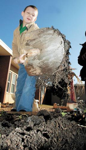 Kinder garden | Archives | timesdaily.com