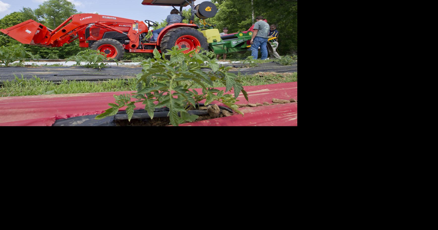 LCHS Agriscience project | Education | timesdaily.com