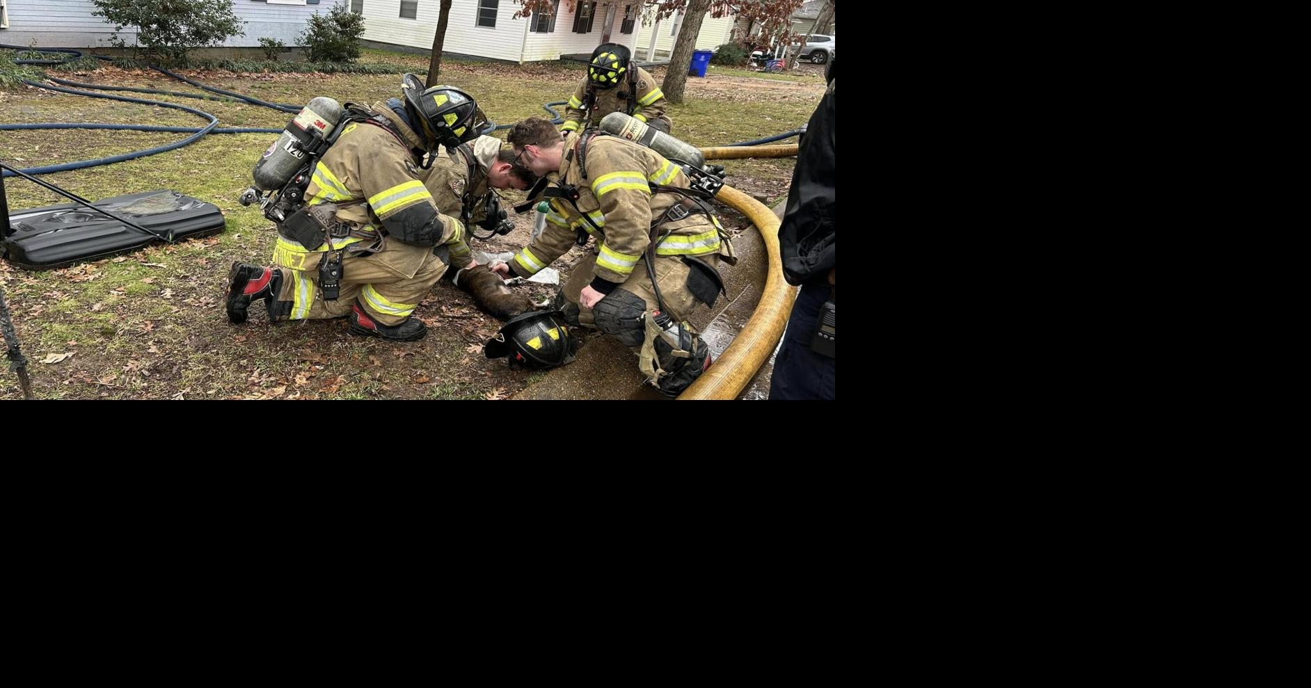Firefighters rescue a dog in burning Florence home | Local News ...