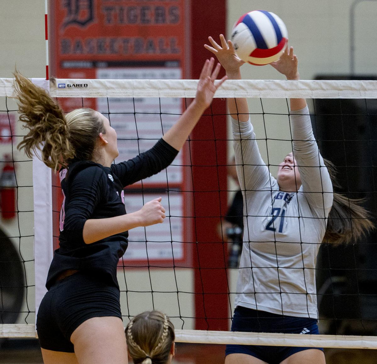 Deshler hosts Rogers in volleyball Gallery