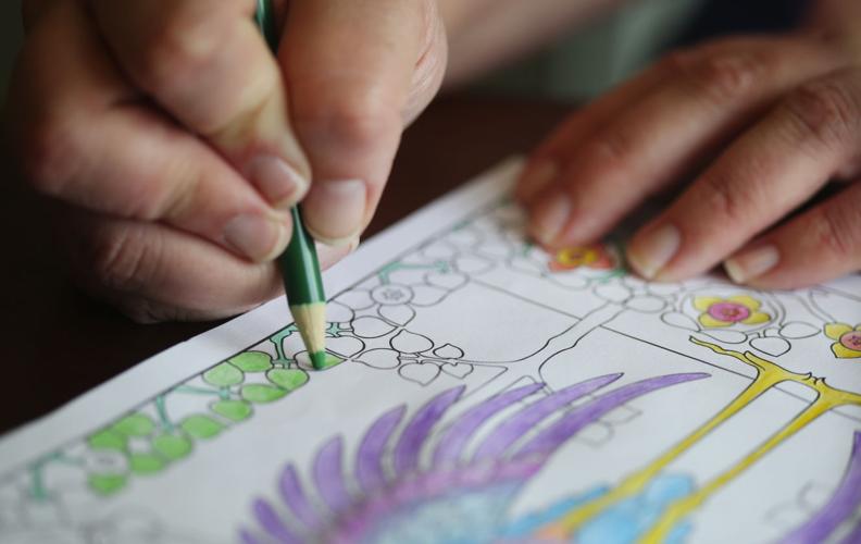 Best Sellers: Best Coloring Books for Grown-Ups