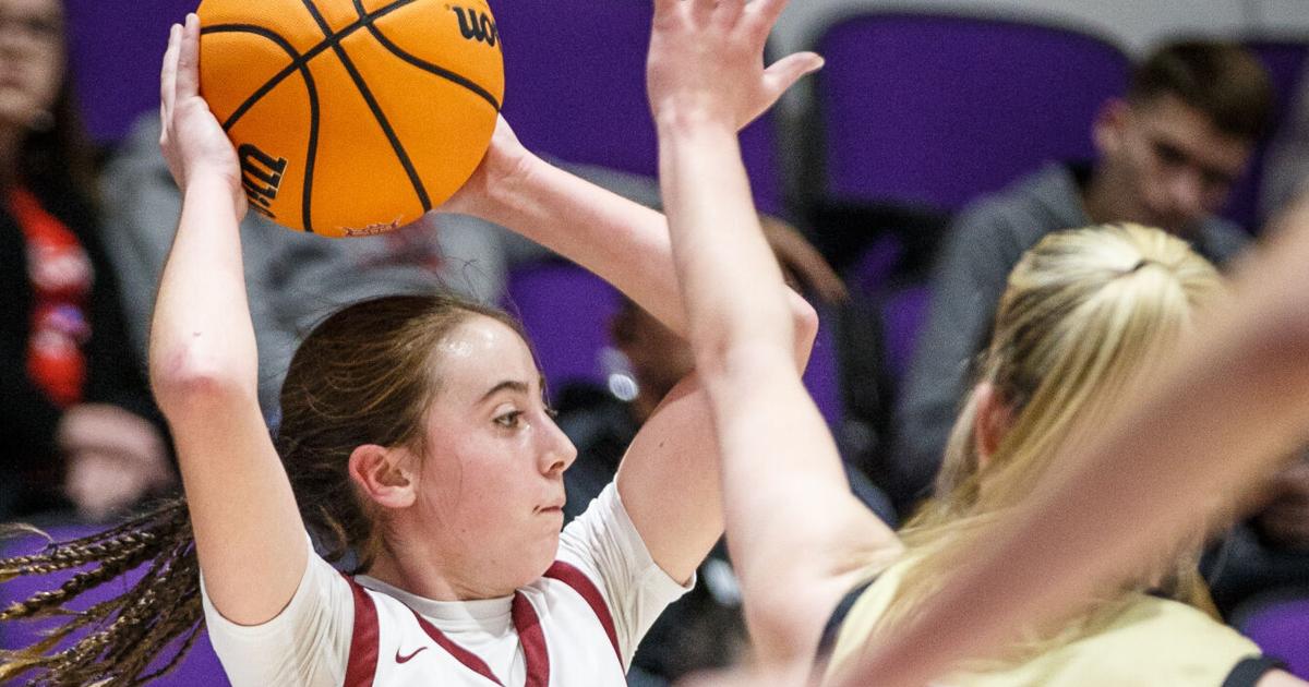 TimesDaily.com - Wednesday's roundup | Deshler's Davis again sets career high image