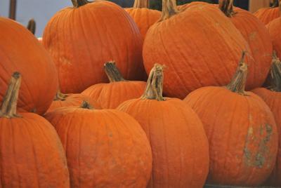 Frost on pumpkin