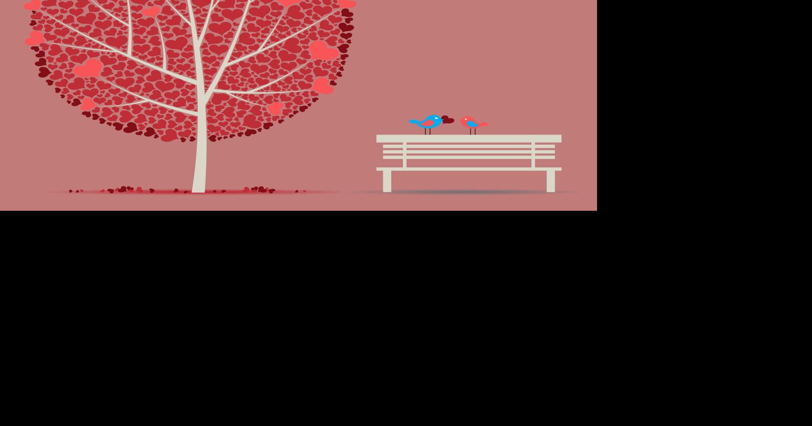 https://bloximages.newyork1.vip.townnews.com/timesdaily.com/content/tncms/assets/v3/editorial/8/a9/8a9ccca2-bb9b-4013-a14e-b607439bda92/697140d452b86.image.jpg?crop=1632%2C857%2C0%2C206&order=crop%2Cresize&resize=1200%2C630