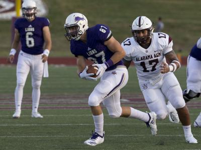 Una Football Lions Alabama Am Have Had Similar Starts To