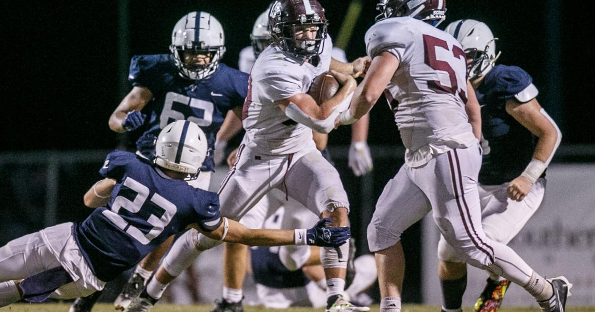 TimesDaily.com - Off the wall: Lauderdale County's Hayden 'Bae Bae' Davis image