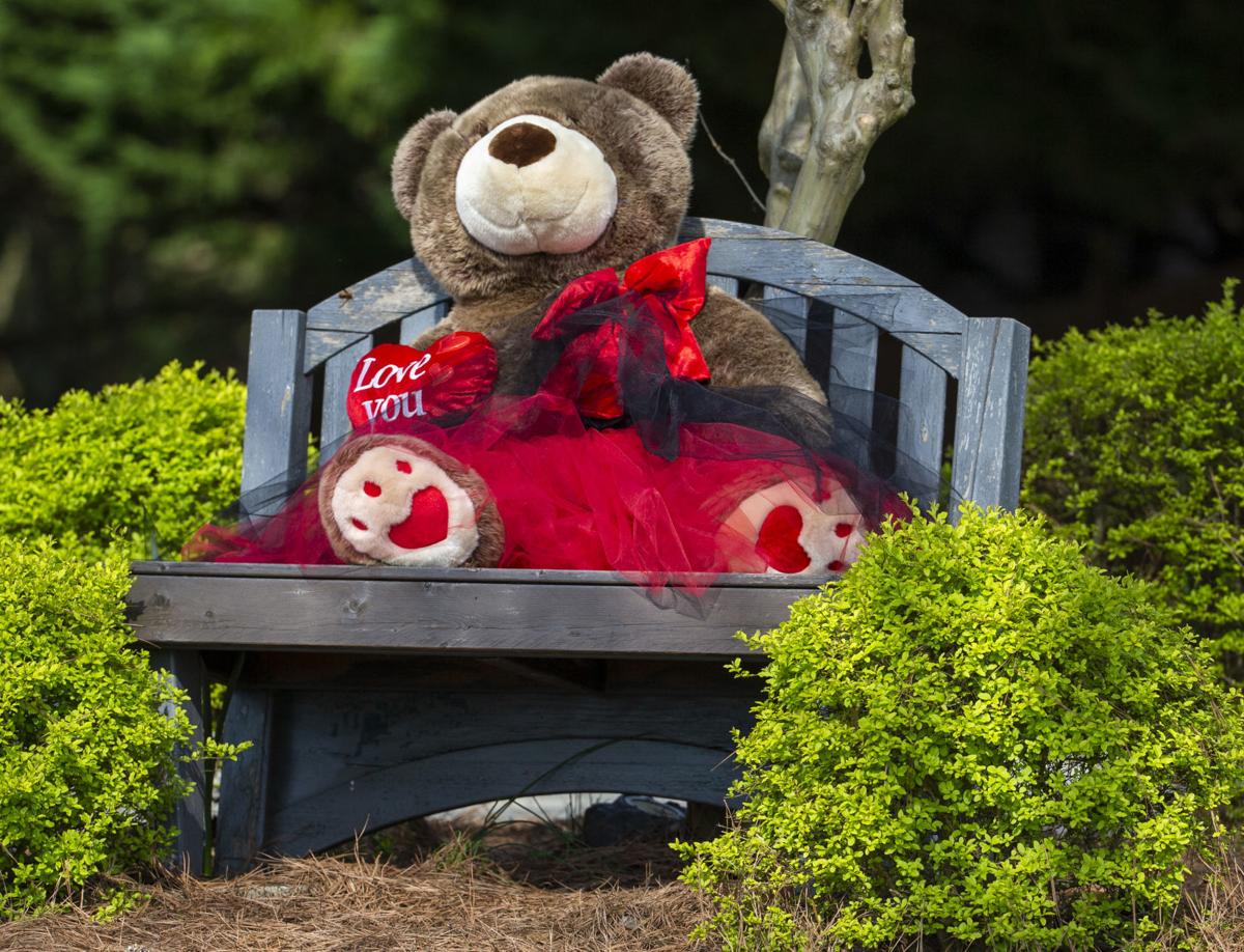 Stuffed Animals Await Discovery In Scavenger Hunts News