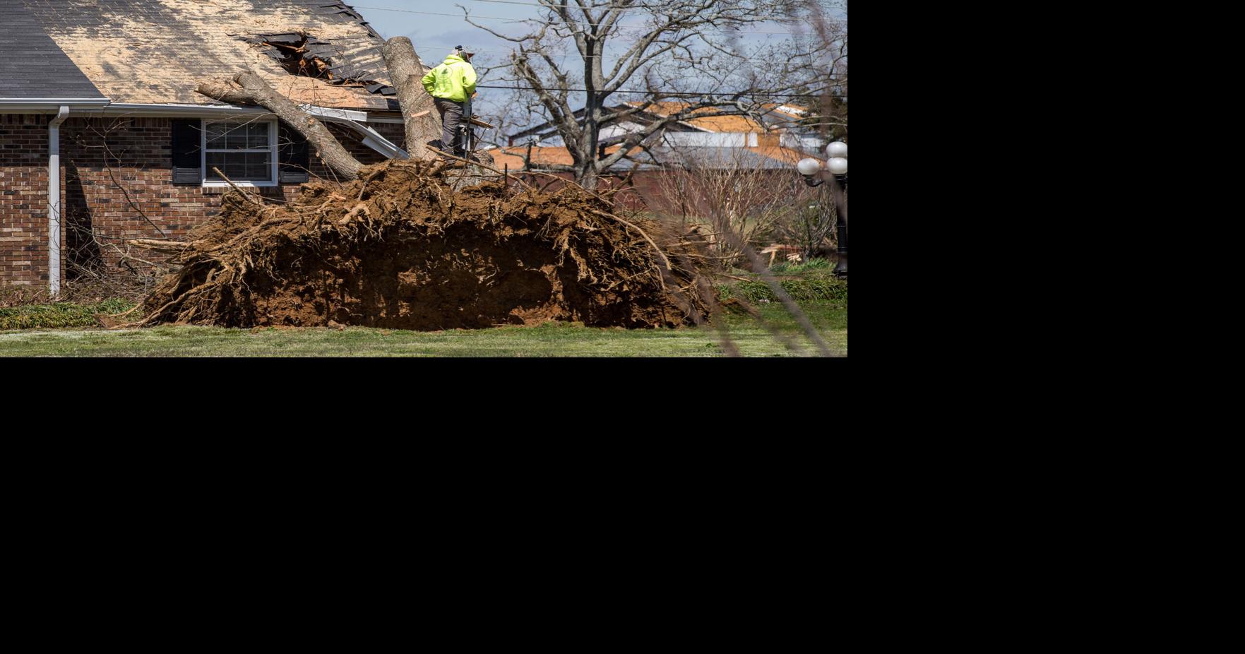 Central damage caused by straight-line winds | Local News | timesdaily.com