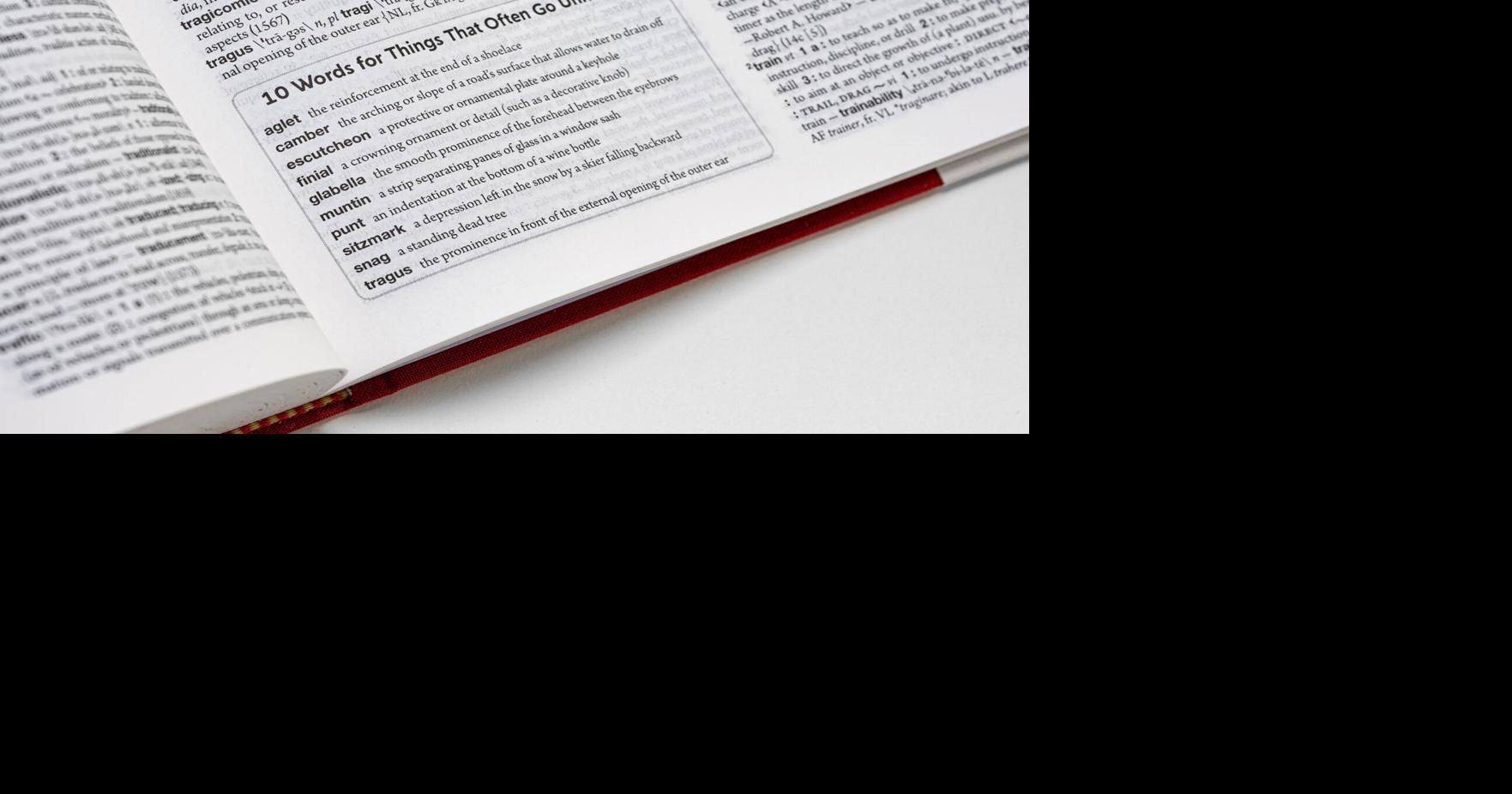 Merriam-Webster adds 5,000 words to 'Collegiate' dictionary | General ...