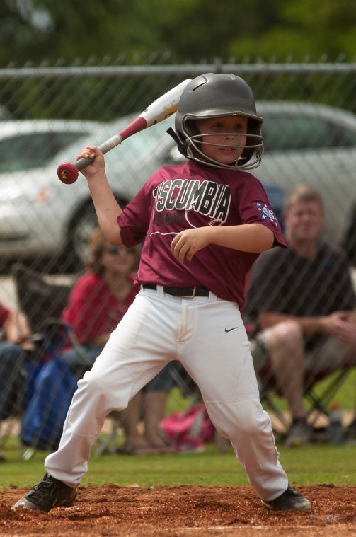 Dixie Rookie State AAA Tournament Sports