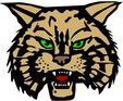 Wayne County Wildcats logo
