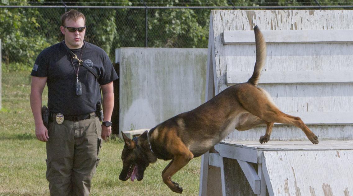 Florence Police Canine Unit wins regional award - Times Daily 1 Florence Police Canine Unit wins regional award - Times Daily 1