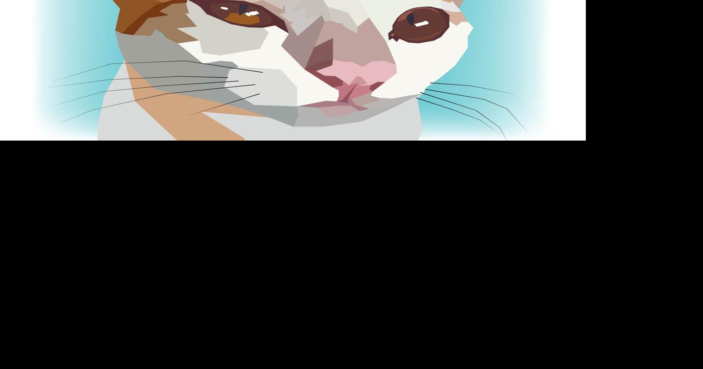 LIFE-PETS-CATS-COMMUNICATION-FILEPIC-DMT
