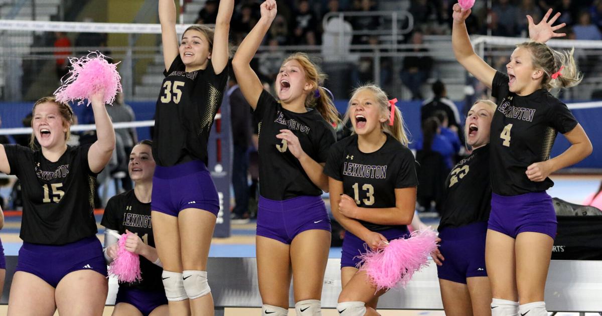 TimesDaily.com - Lexington Golden Bears bounced in state quarterfinals image