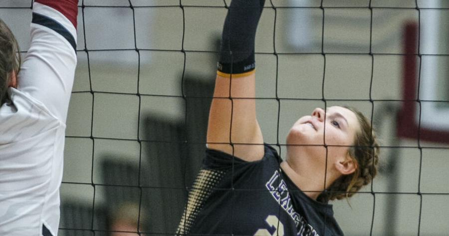 TimesDaily.com - Saturday's roundup | Brooks' Hatton runner-up; Lexington wins title image