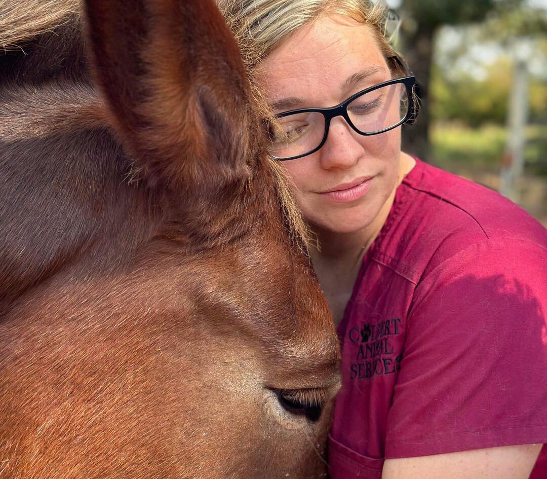 Woman Accused Of Animal Cruelty Nabbed By Authorities | Crime ...