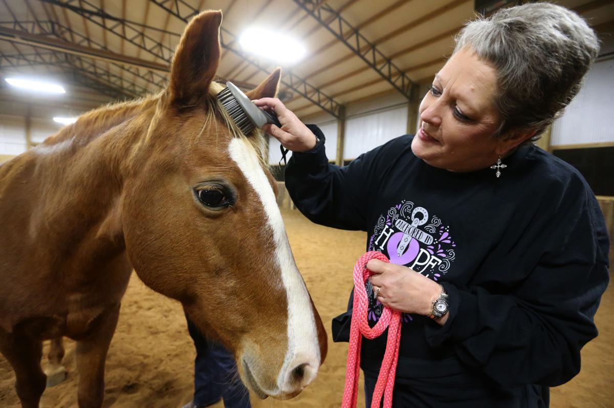 Breast cancer patients use horses for therapy Local News