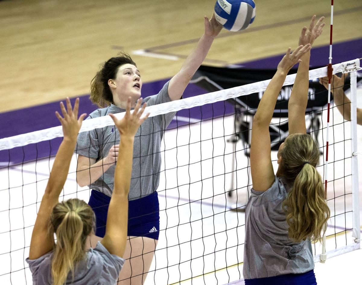 UNA volleyball practice with new coach Bob White | Gallery | timesdaily.com UNA volleyball practice with new coach Bob White | Gallery | timesdaily.com