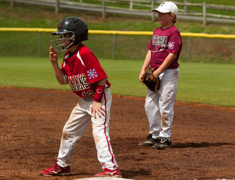 Dixie Rookie State AAA Tournament Sports