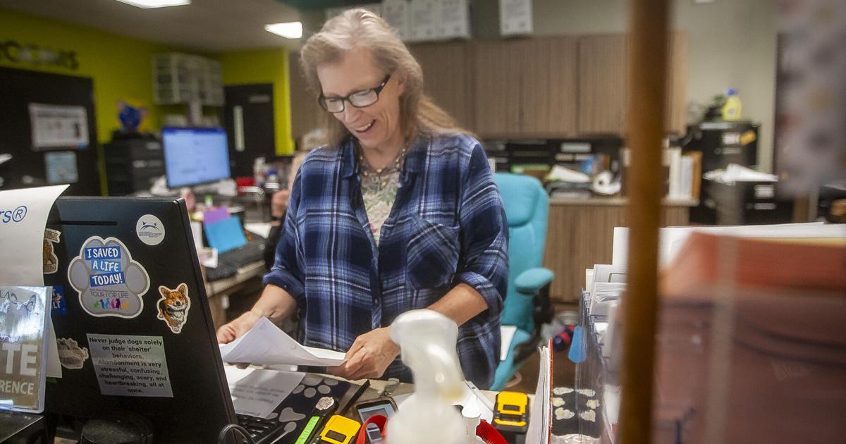 County reviewing records before meeting