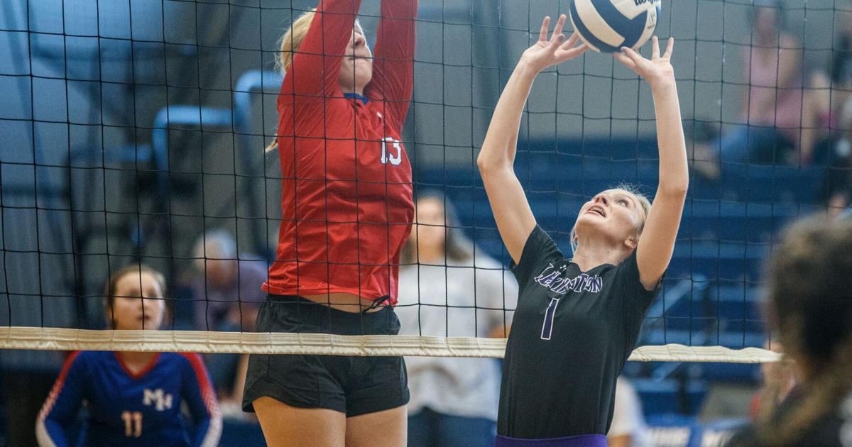 TimesDaily.com - Tuesday's roundup | Springer helps Lexington sweep Rogers, Sheffield image