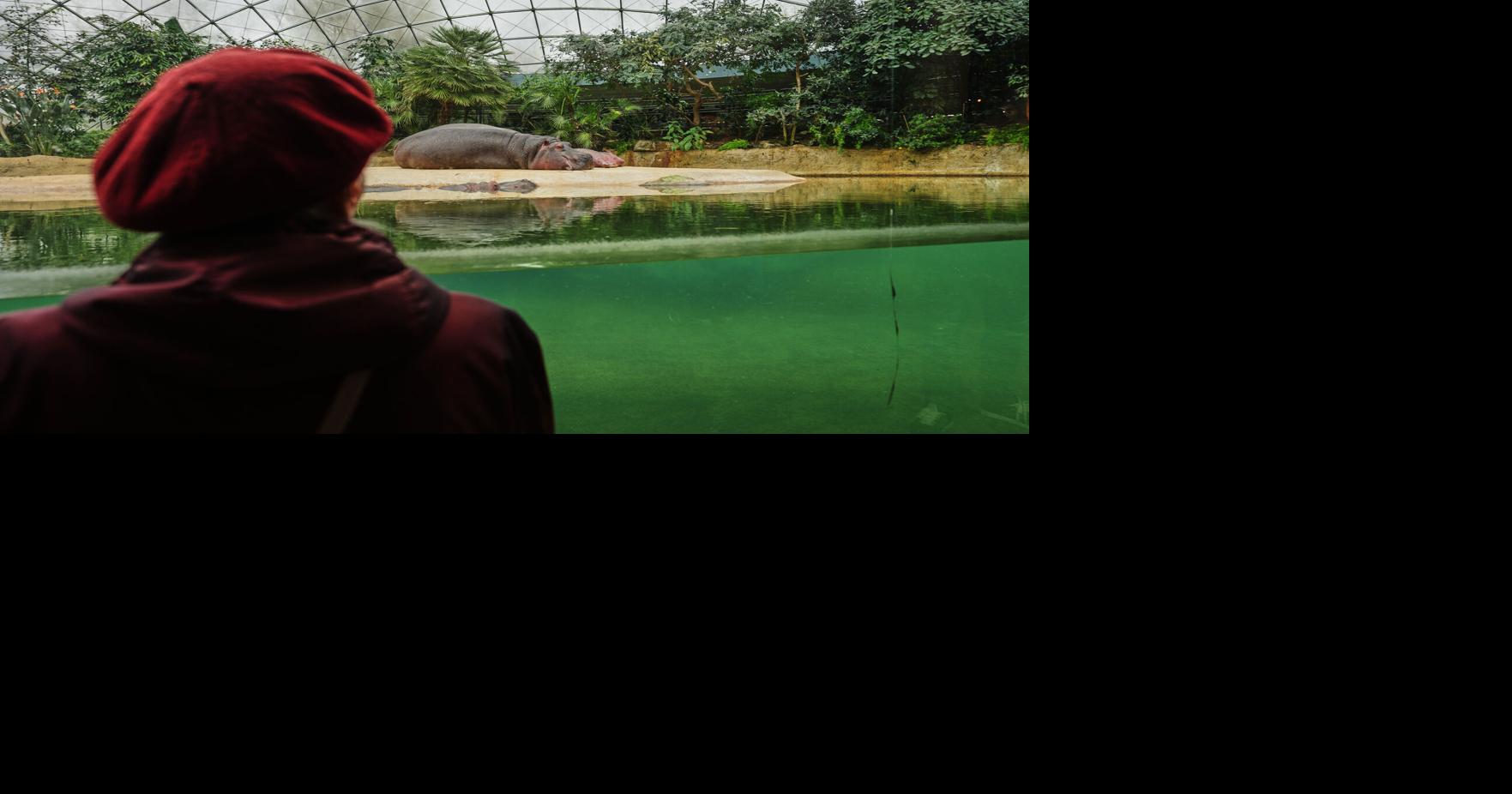 Specialized zoo tour: People with dementia are often overlooked, but not on this outing