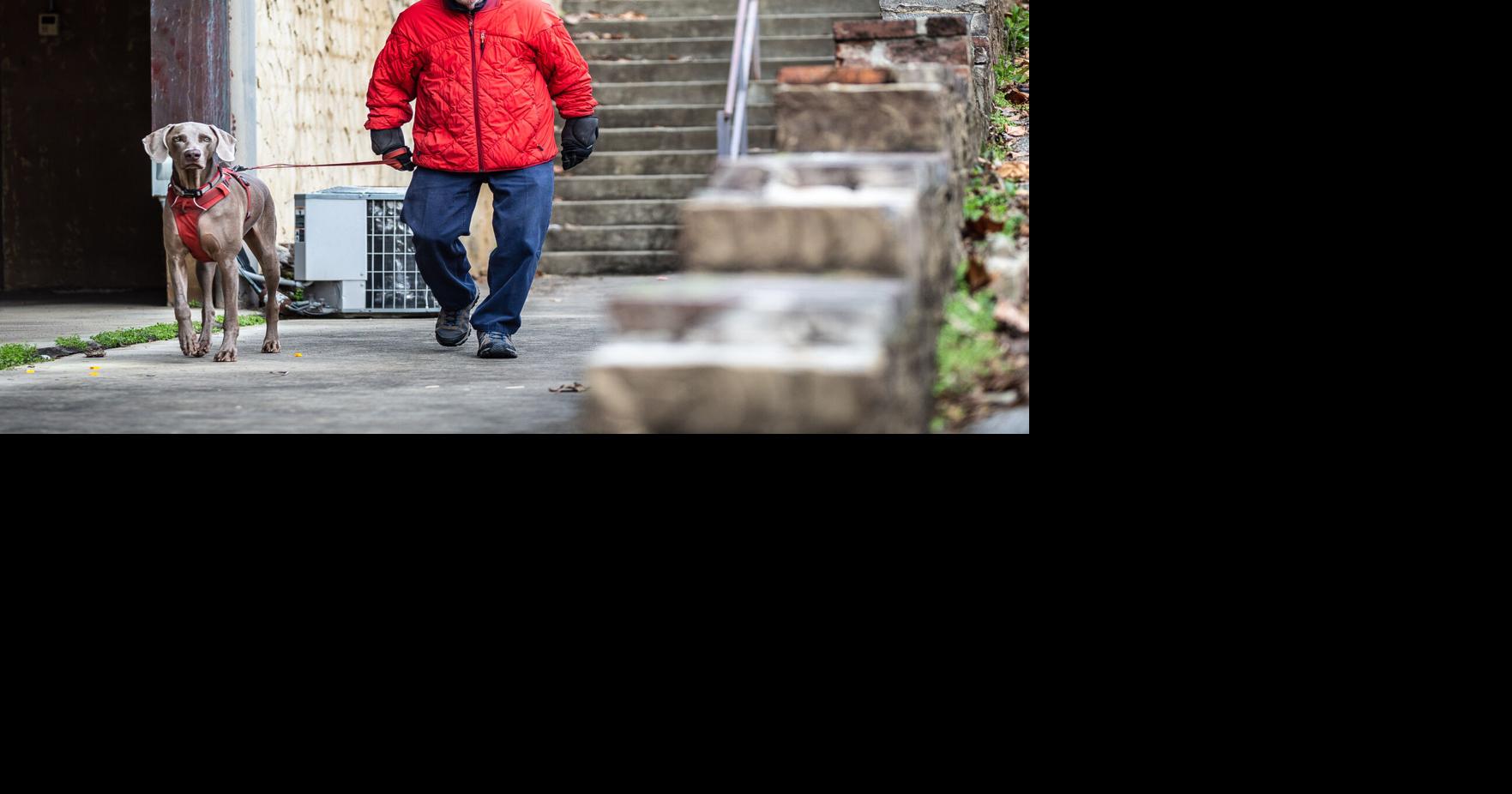 Single-digit temperatures expected Thursday night | Local News ...