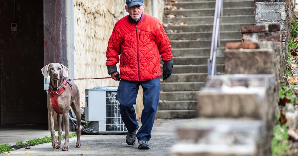 Single-digit temperatures expected Thursday night | Local News ...