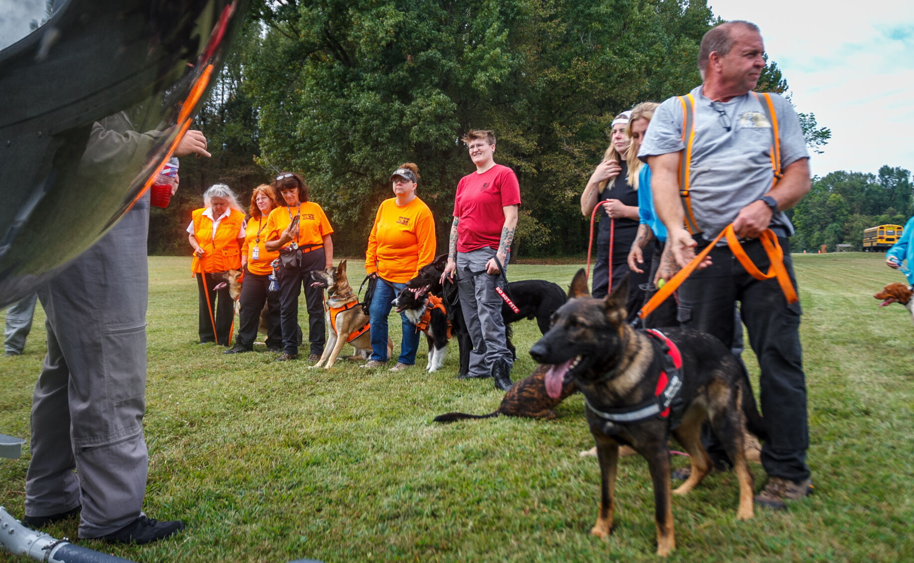 Trained search and rescue dogs 2024 for sale