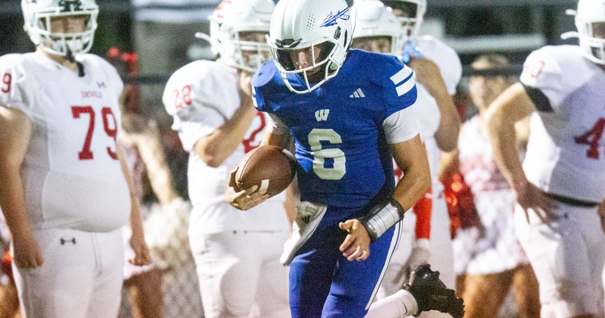 TimesDaily - After late rally, Wilson falls in OT image