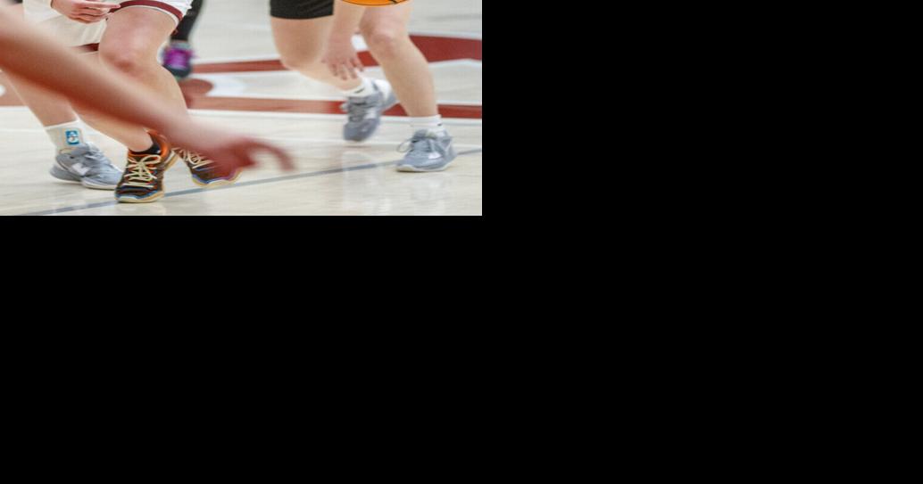 TimesDaily.com - Saturday's high school basketball | Davis, Rickard help Deshler roar in opener image