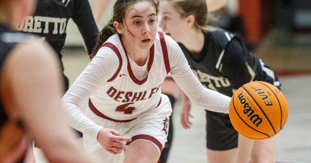 TimesDaily.com - Saturday's high school basketball | Davis, Rickard help Deshler roar in opener image