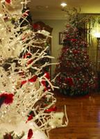 In the holiday spirit: Greenhill woman's 48 Christmas trees honor family