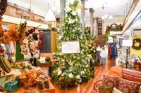 Christmas Events Tri Cities Tn 2022 Sights & Sounds Of The Season (Updated Dec. 22) | Sunday Stories |  Timesnews.net