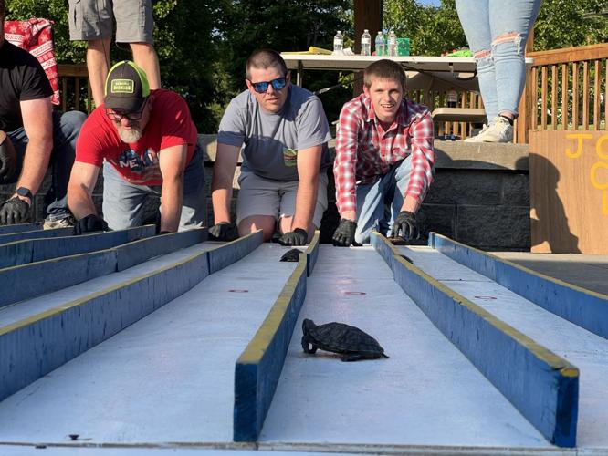Turtle Derby on fast track