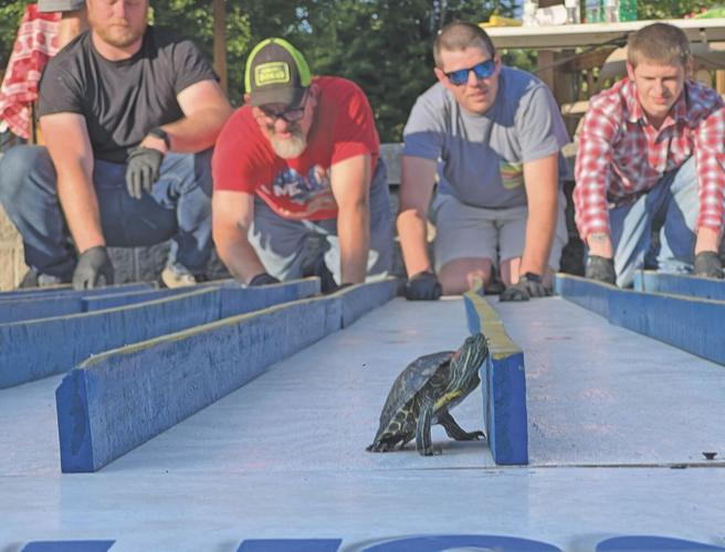Turtle Derby on fast track