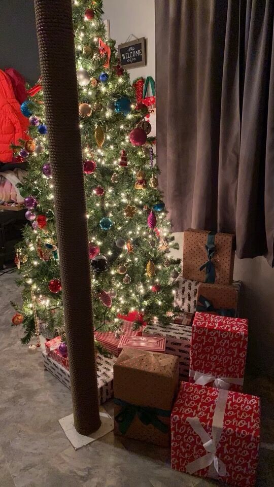 Family shares heartfelt thanks and Christmas tree photo