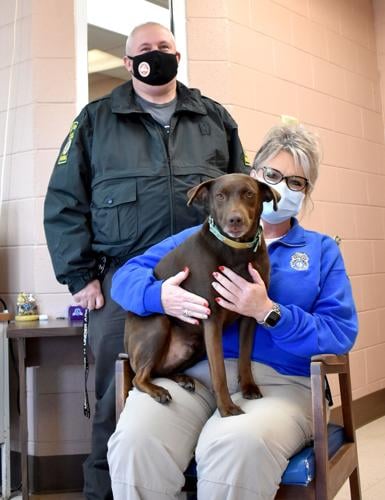 A pet is not a toy: Shelter officers urge care in adopting animals | Pets |  