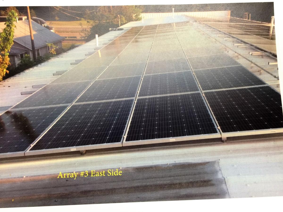 Veterinarian S Office Generating Green By Going Green With Solar Panels Business Timesnews Net