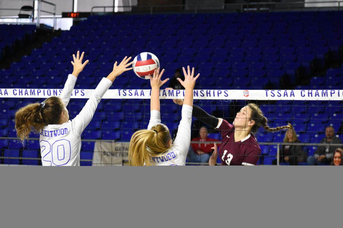 Lady Indians Push Brentwood To Limit Fall In Four Sets To Houston